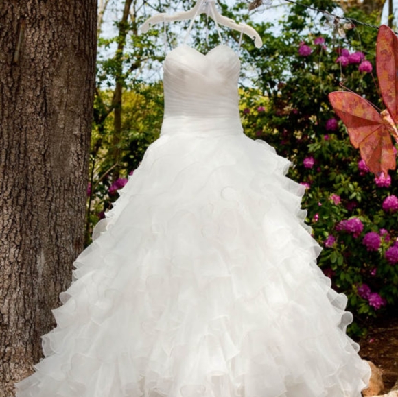 Sophia Moncelli for Kleinfelds Dresses & Skirts - Sophia Moncelli Wedding Dress